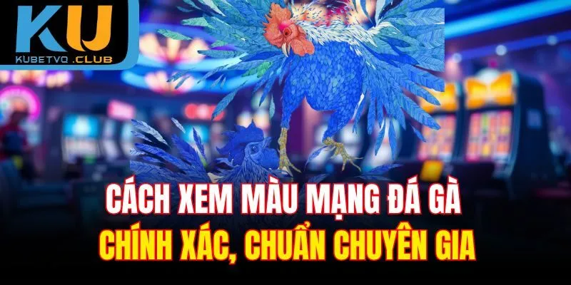 Cách xem màu mạng đá gà chính xác, chuẩn chuyên gia