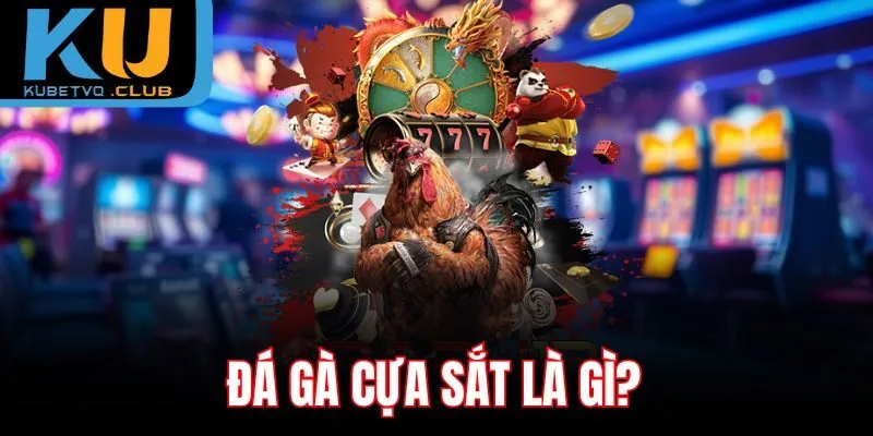 Đá gà cựa sắt là gì?