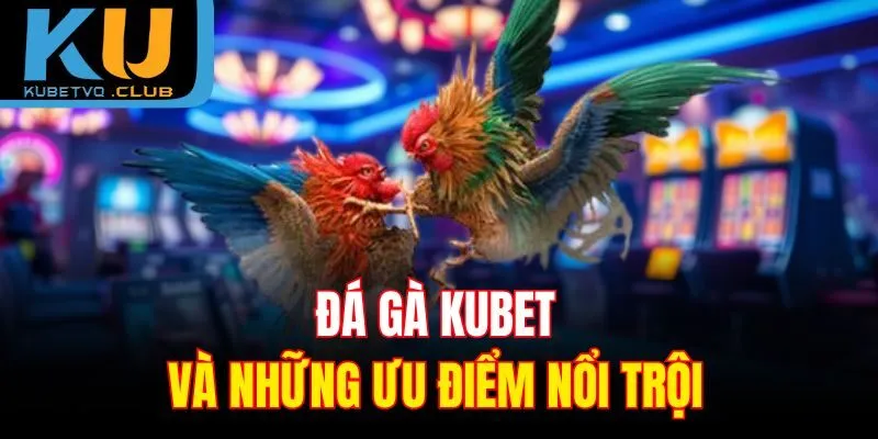 Đá gà Kubet và những ưu điểm nổi trội