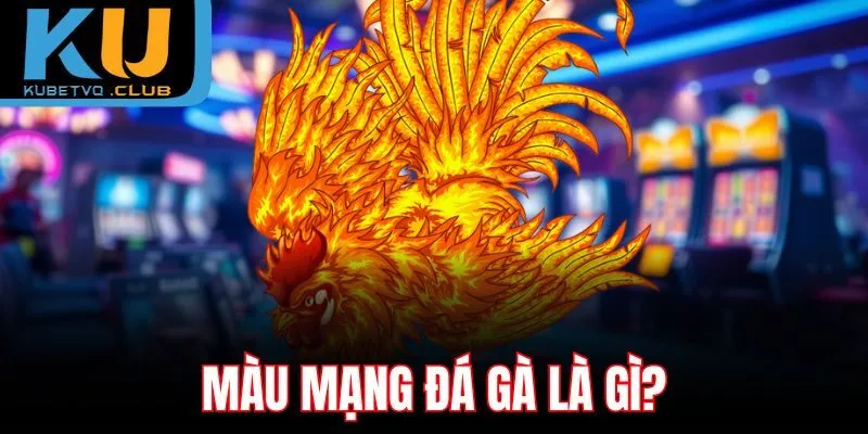 Màu mạng đá gà là gì?