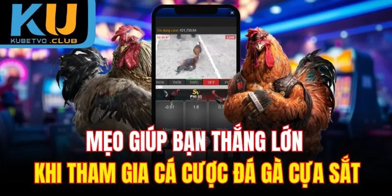 Mẹo giúp bạn thắng lớn khi tham gia cá cược đá gà cựa sắt