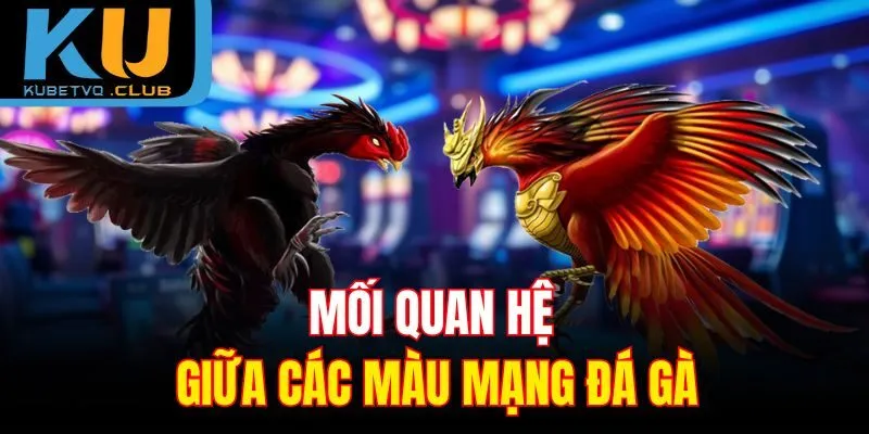 Mối quan hệ giữa các màu mạng đá gà
