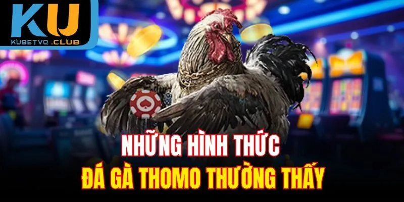 Những hình thức đá gà Thomo thường thấy