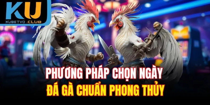 Phương pháp chọn ngày đá gà chuẩn phong thủy