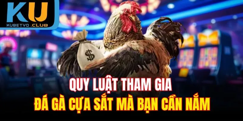 Quy luật tham gia đá gà cựa sắt mà bạn cần nắm
