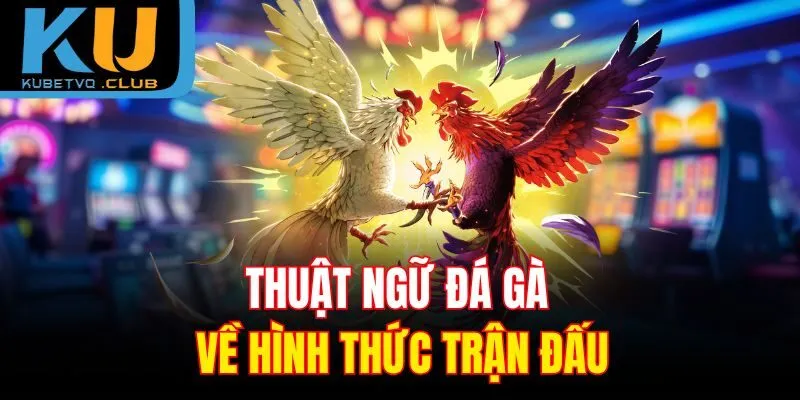 Thuật ngữ đá gà về hình thức trận đấu