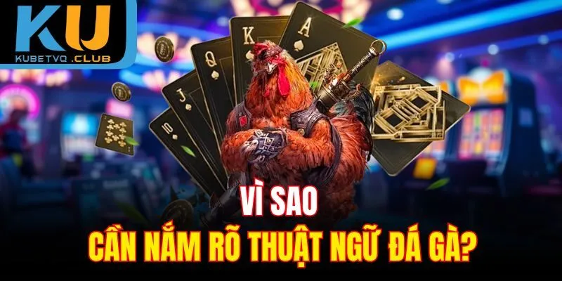 Vì sao cần nắm rõ thuật ngữ đá gà?